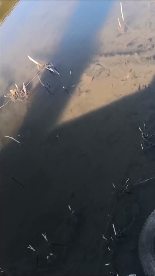 TikTok video thumbnail by endzus