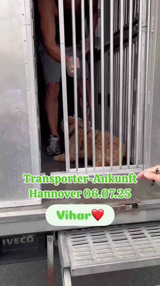 TikTok video thumbnail by die_bakonys