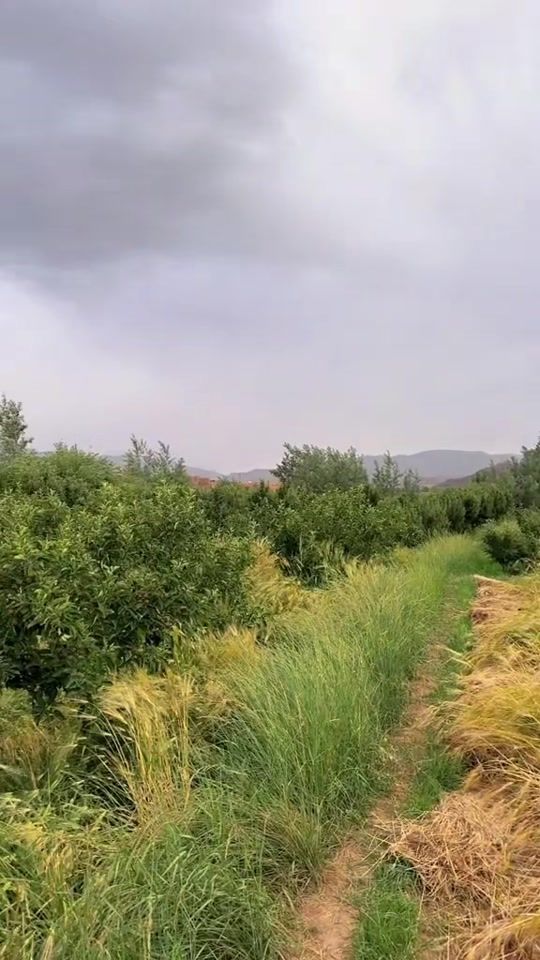 TikTok video thumbnail by esmael.fh3