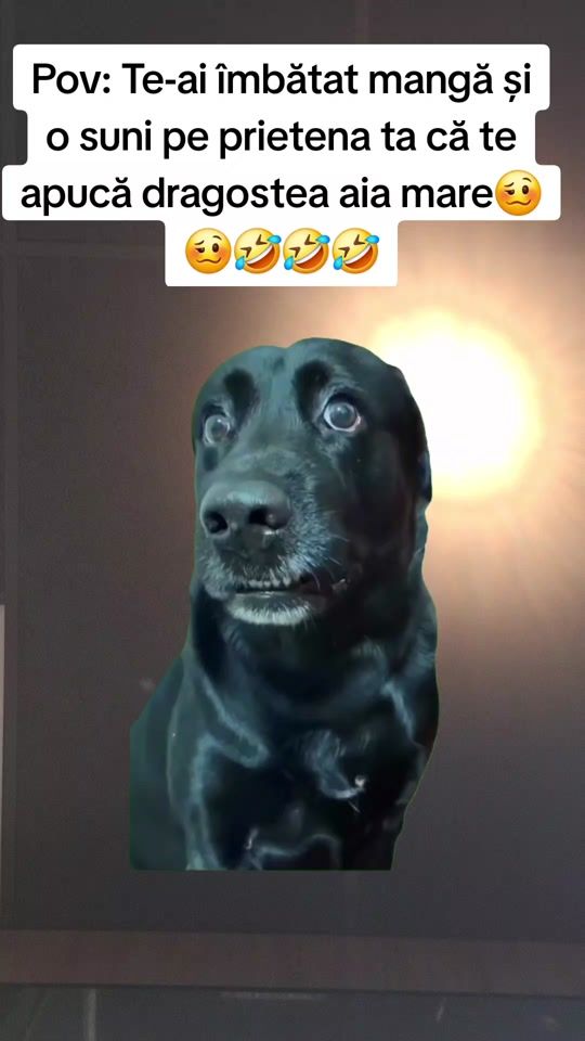 TikTok video thumbnail by username11_11_11_11