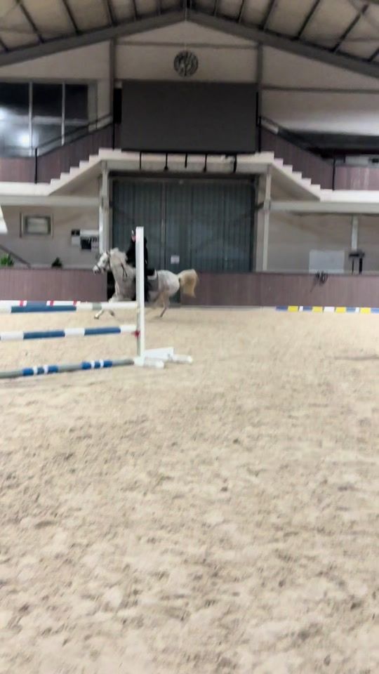 TikTok video thumbnail by .kd_showjumping