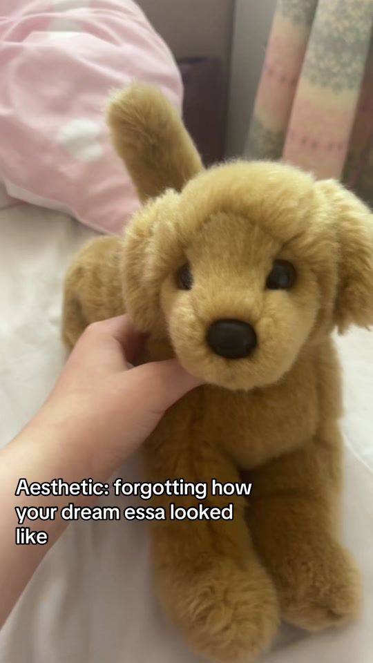 TikTok video thumbnail by naynaikeadogs