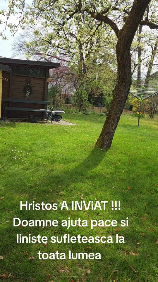 TikTok video thumbnail by ioanamoldovan090