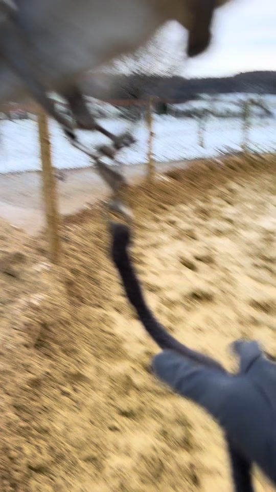 TikTok video thumbnail by laura_nyz