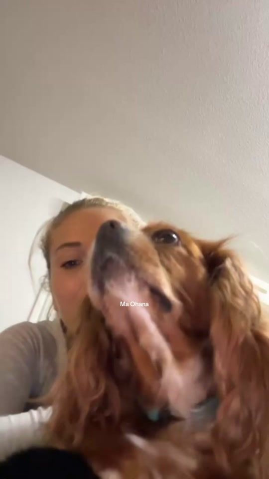 TikTok video thumbnail by cassandrajulliaof