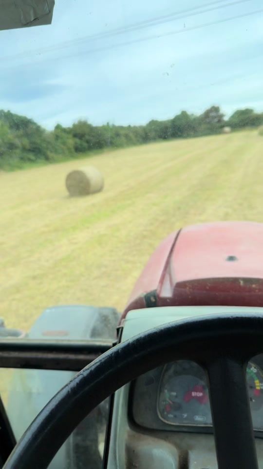TikTok video thumbnail by donaloc2