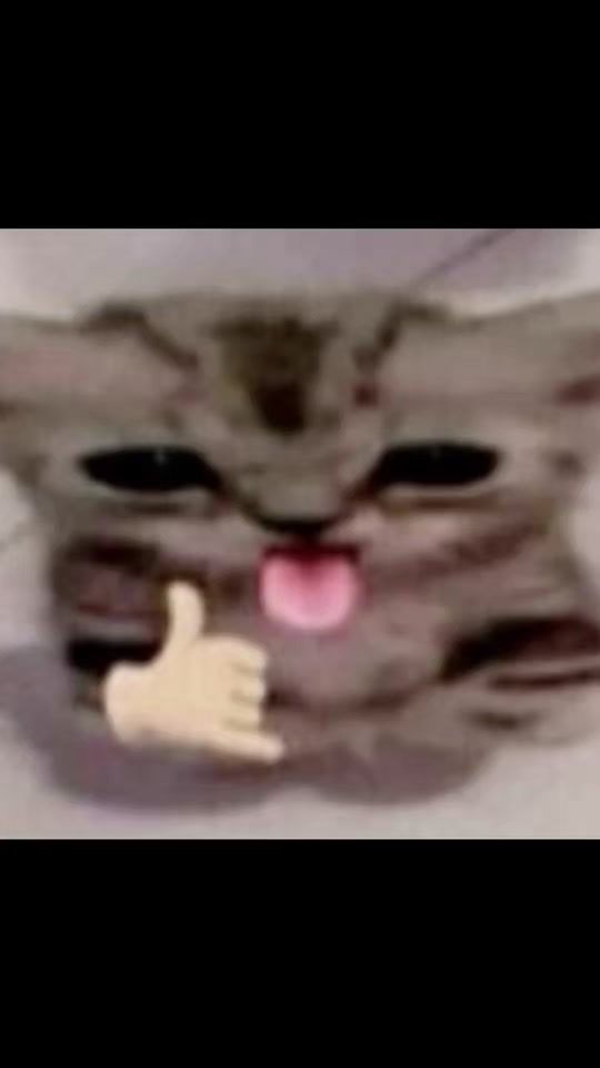 TikTok video thumbnail by catsbeiingcats