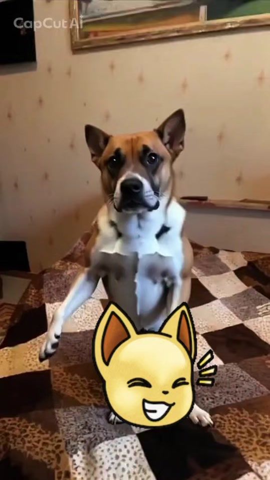 TikTok video thumbnail by fluerariirina