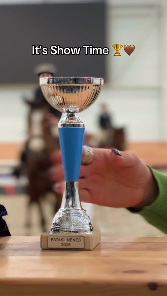 TikTok video thumbnail by material_horses