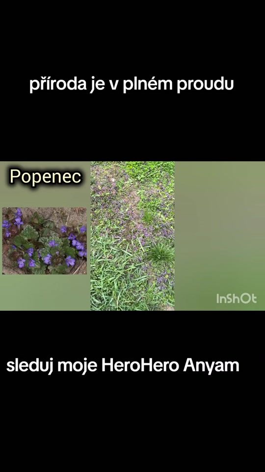TikTok video thumbnail by anyam108