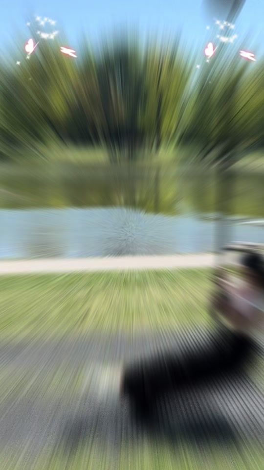 TikTok video thumbnail by lifewithmydoughter