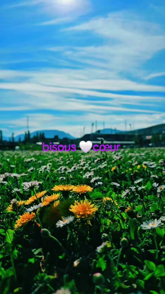 TikTok video thumbnail by .bisous.a.s