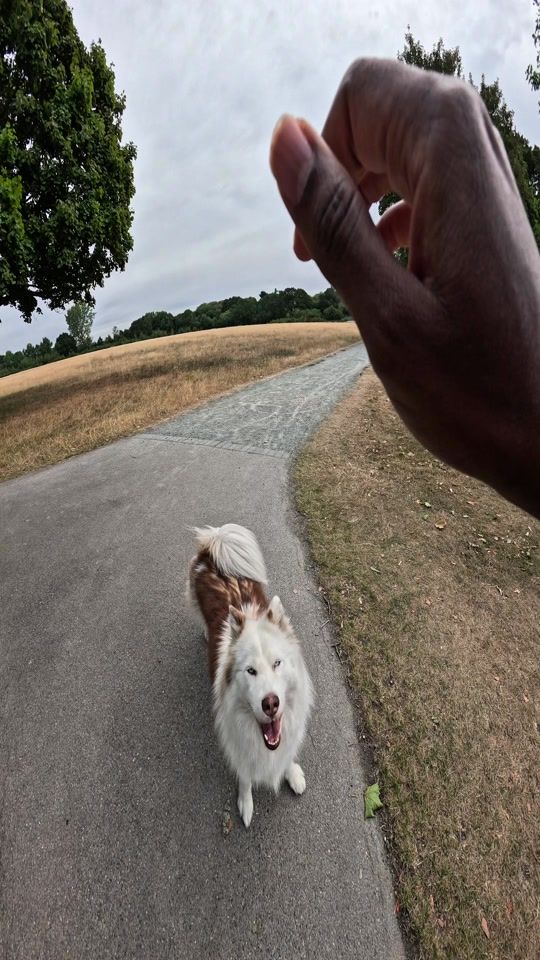 TikTok video thumbnail by battersea