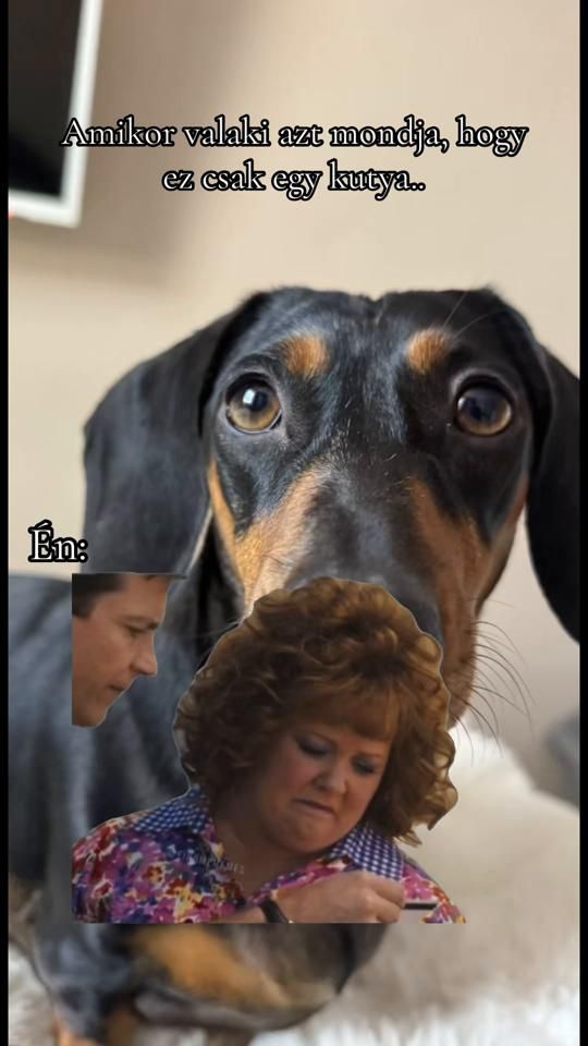 TikTok video thumbnail by rimovszkipatricia