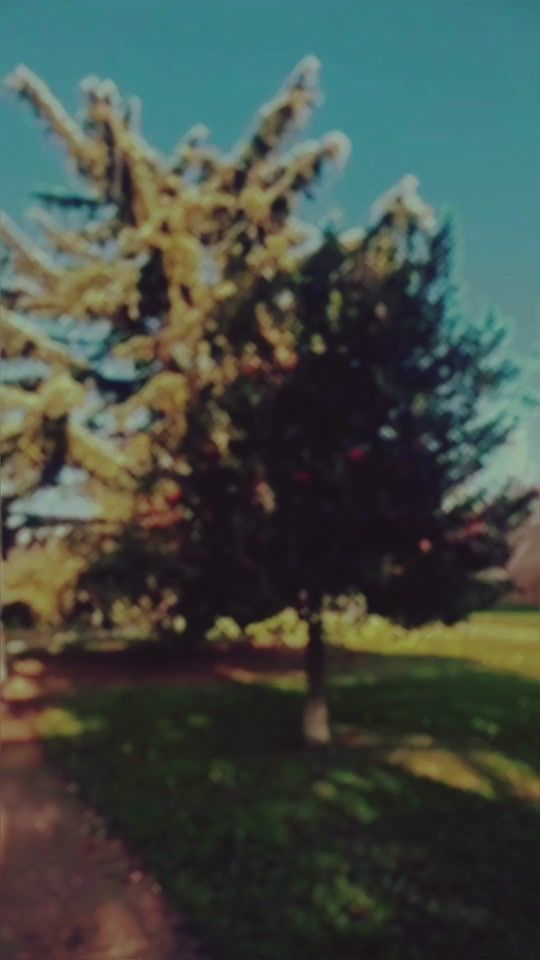 TikTok video thumbnail by mizajioune