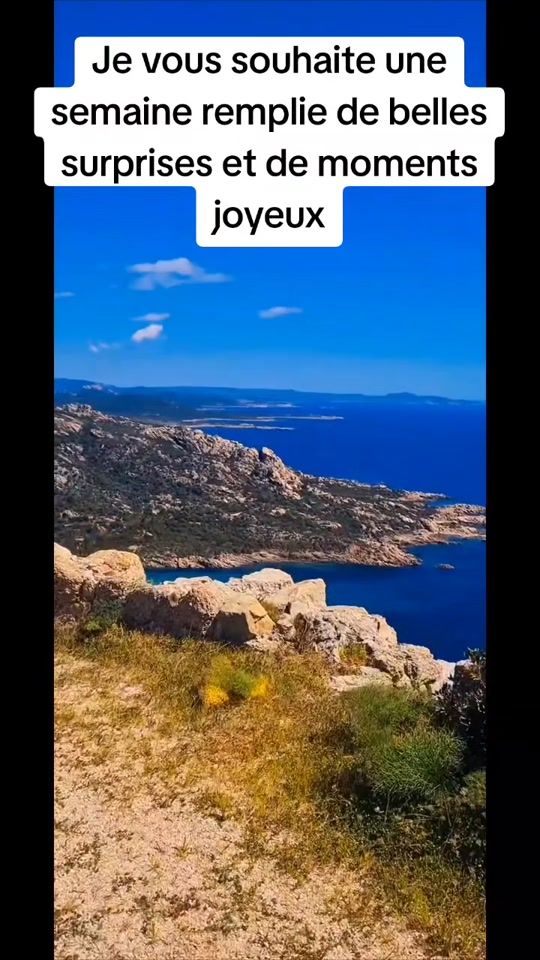 TikTok video thumbnail by attilaarrifi