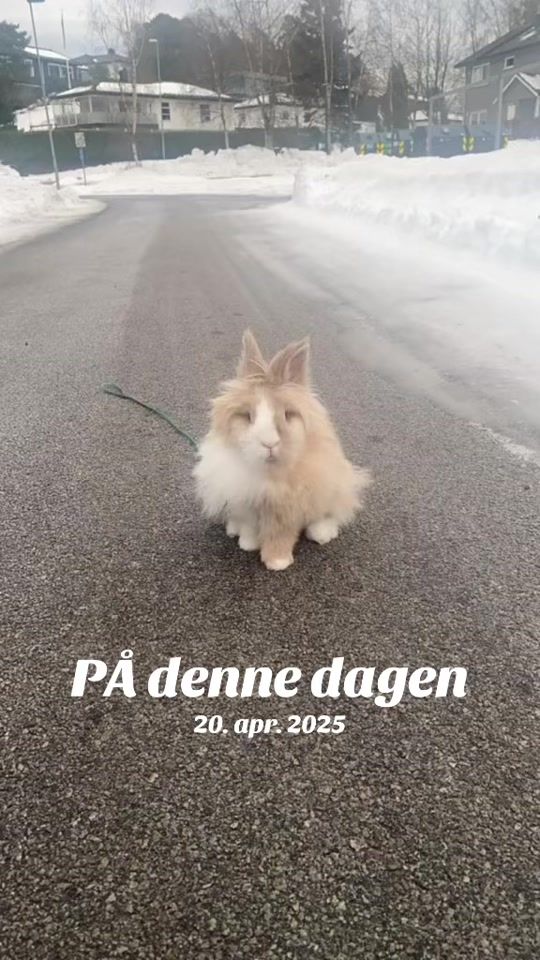 TikTok video thumbnail by eqida2