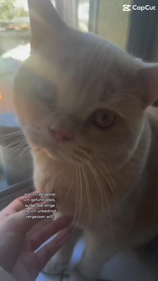 TikTok video thumbnail by username772627318831624