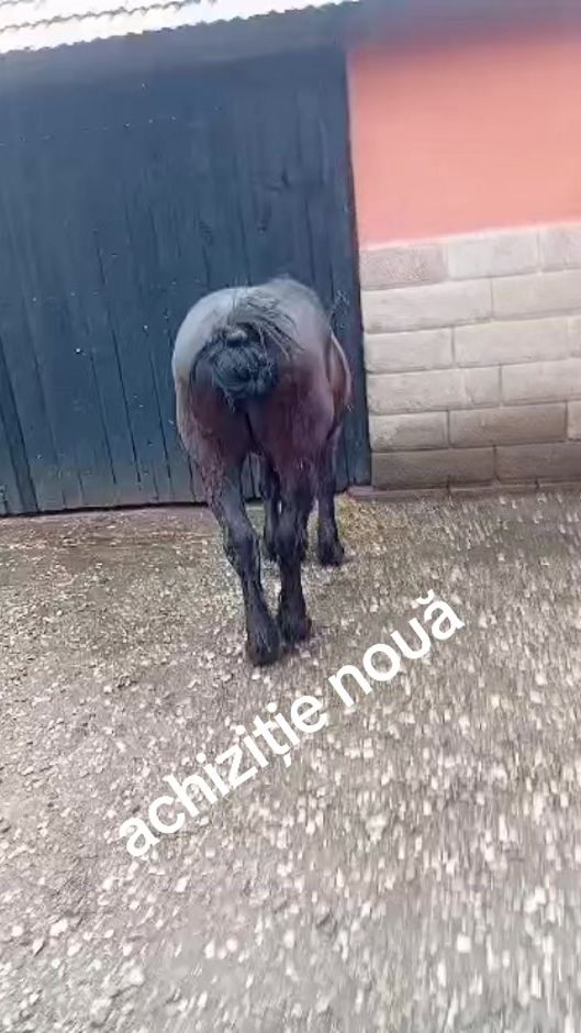 TikTok video thumbnail by benyben313