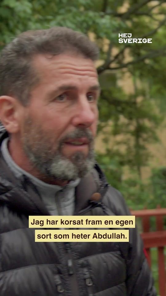 TikTok video thumbnail by hejsverige_ur