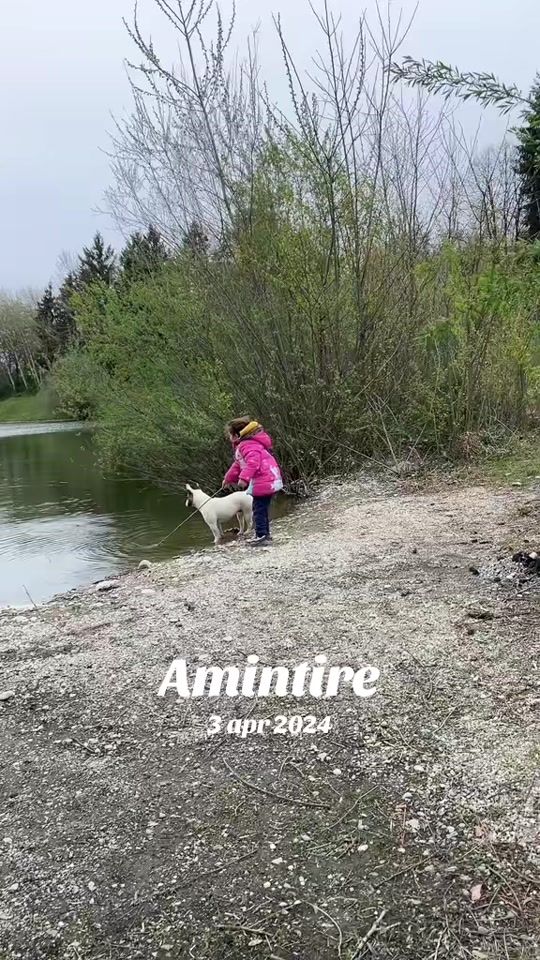 TikTok video thumbnail by roxypepe1314