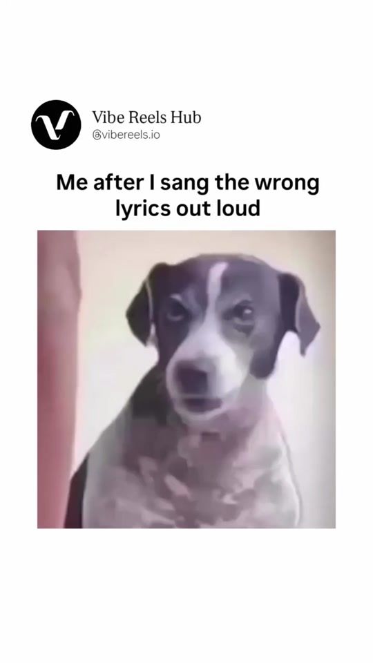 TikTok video thumbnail by ellimaijamaria