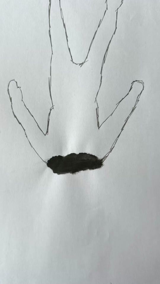 TikTok video thumbnail by harrylittle