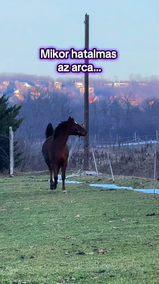 TikTok video thumbnail by jucus1225