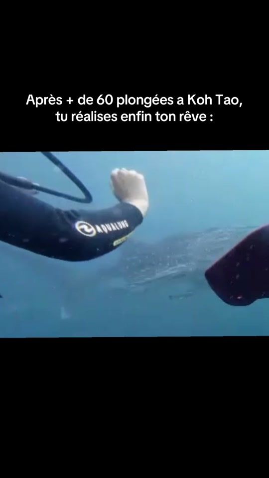 TikTok video thumbnail by olaspam3