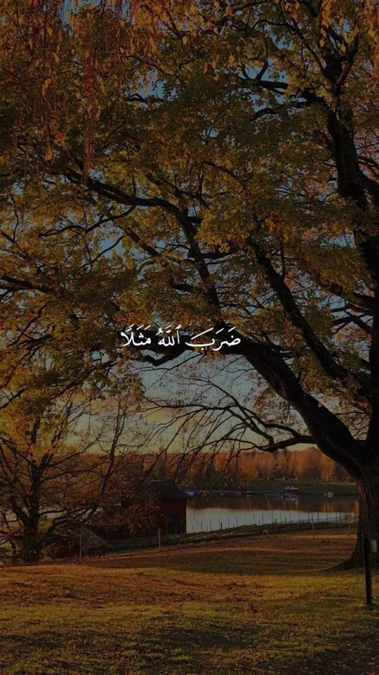 TikTok video thumbnail by shassan76