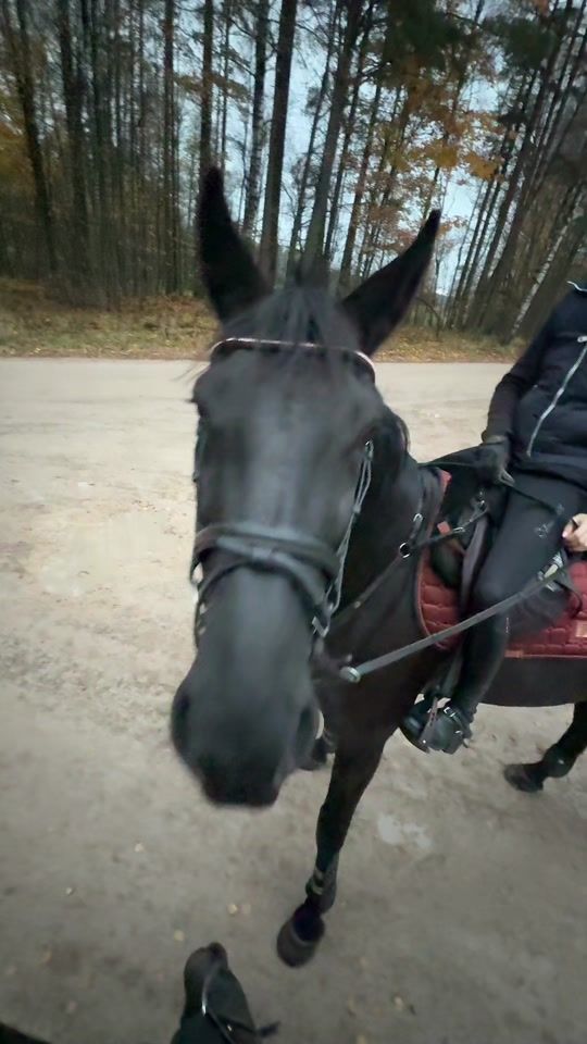 TikTok video thumbnail by karliina_eq