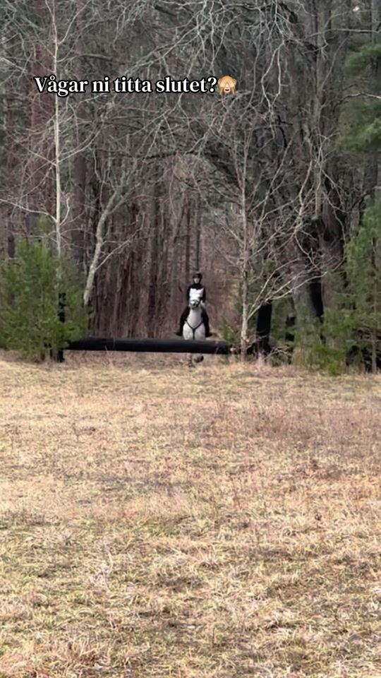 TikTok video thumbnail by _alice_eventing_