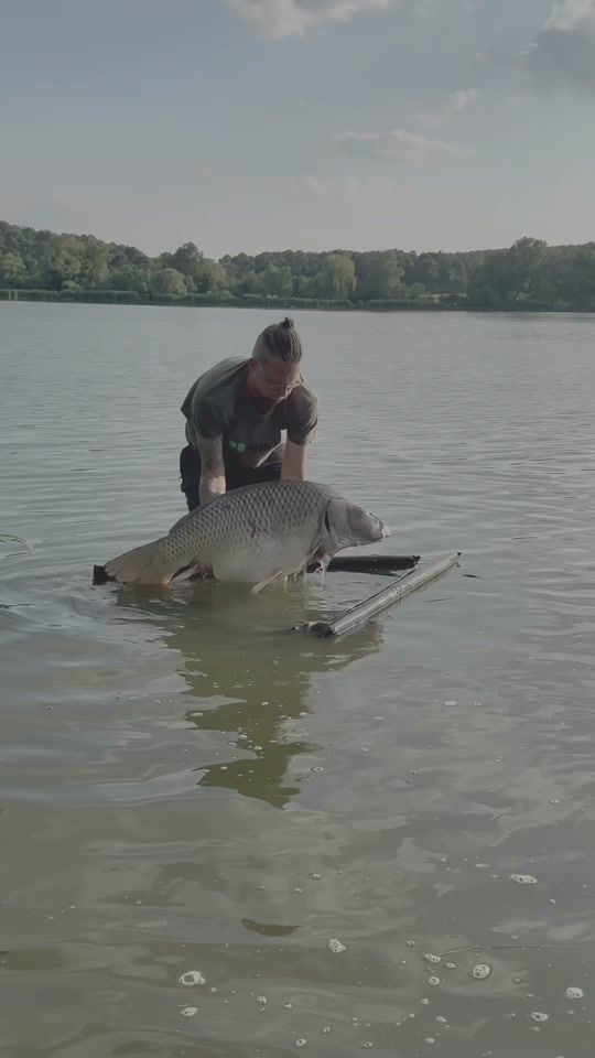 TikTok video thumbnail by valterfishing