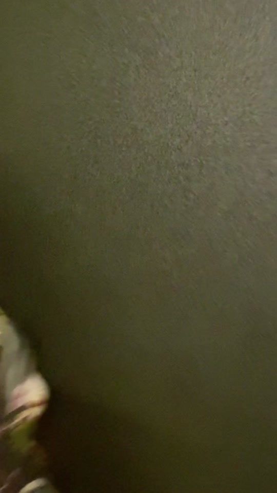 TikTok video thumbnail by noradenialofficial