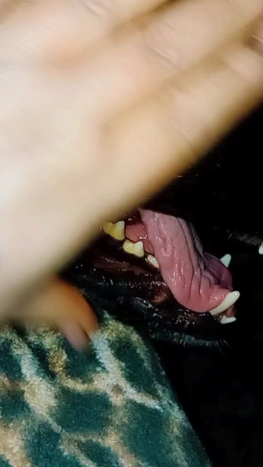 TikTok video thumbnail by elialonero
