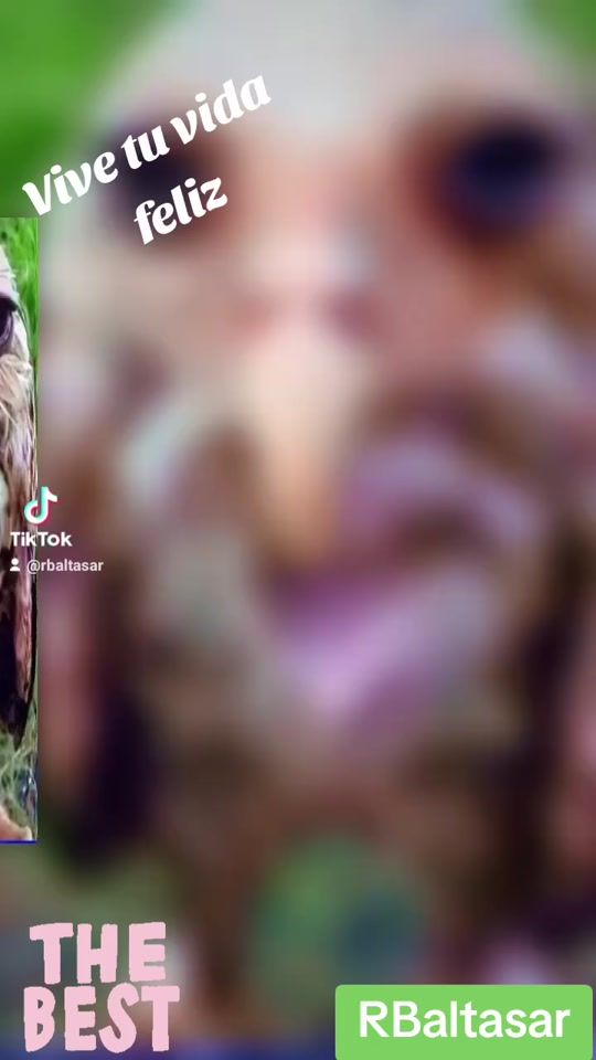 TikTok video thumbnail by rbaltasar