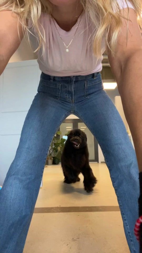 TikTok video thumbnail by newfiefomle