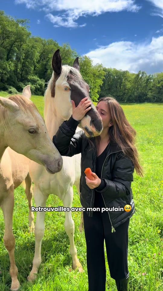 TikTok video thumbnail by nnp.fr
