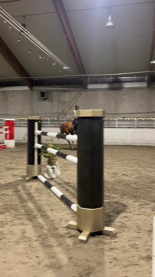 TikTok video thumbnail by unalebruyn