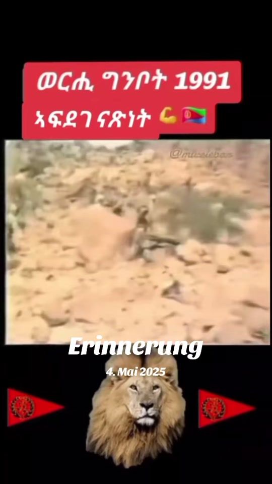 TikTok video thumbnail by freweini.eritrea