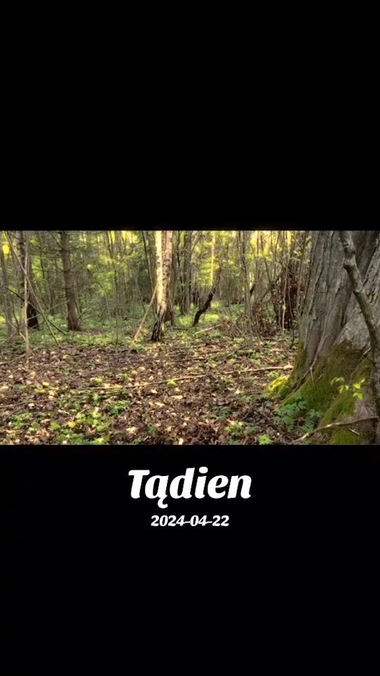 TikTok video thumbnail by almantas_historykeeper