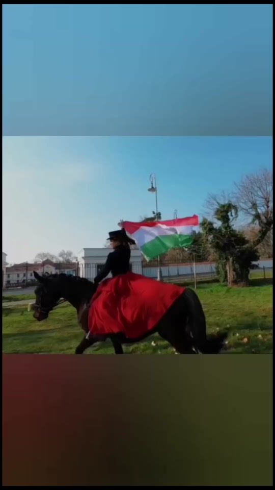 TikTok video thumbnail by halasicsilla