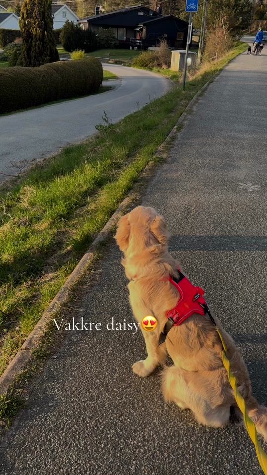 TikTok video thumbnail by nordea_02