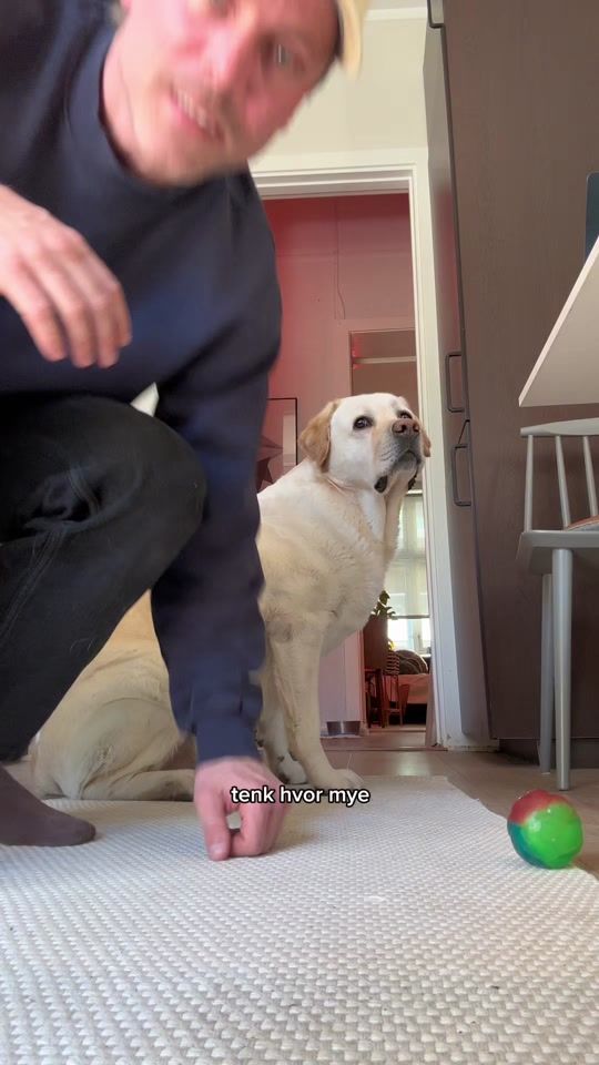 TikTok video thumbnail by steffen.og.olav