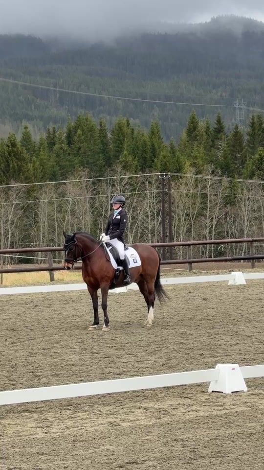 TikTok video thumbnail by equestrian_sol