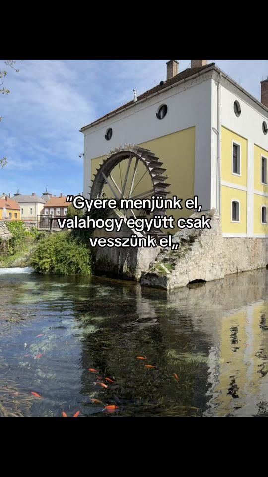TikTok video thumbnail by molnar_bence_18