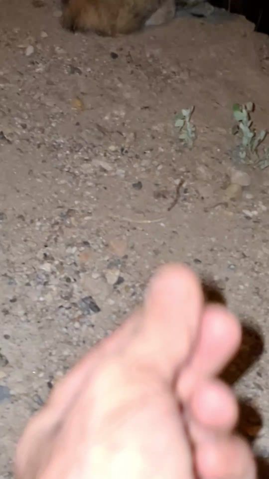 TikTok video thumbnail by jorge__aj__