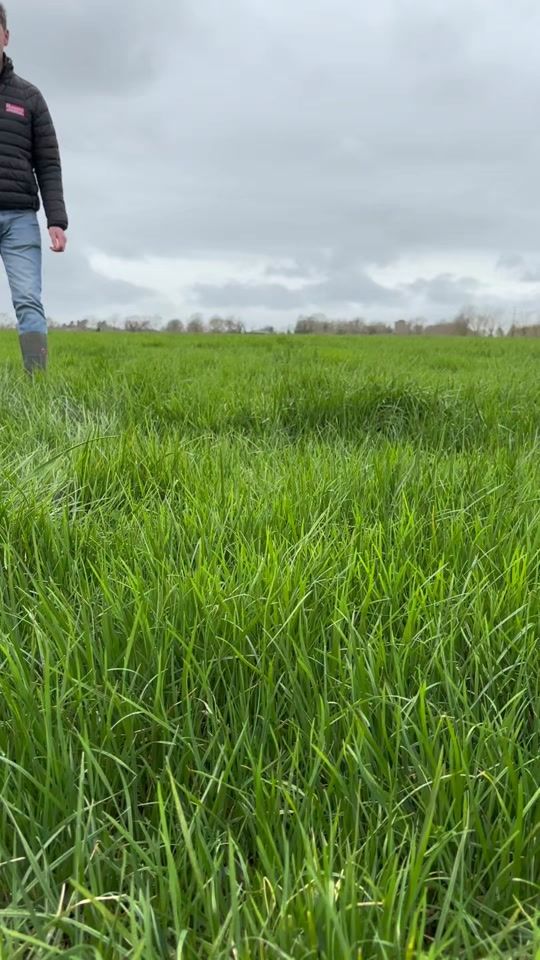 TikTok video thumbnail by irishfarmersjournal