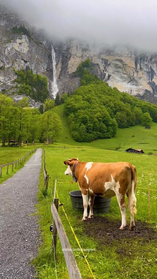 TikTok video thumbnail by switzerlandguide