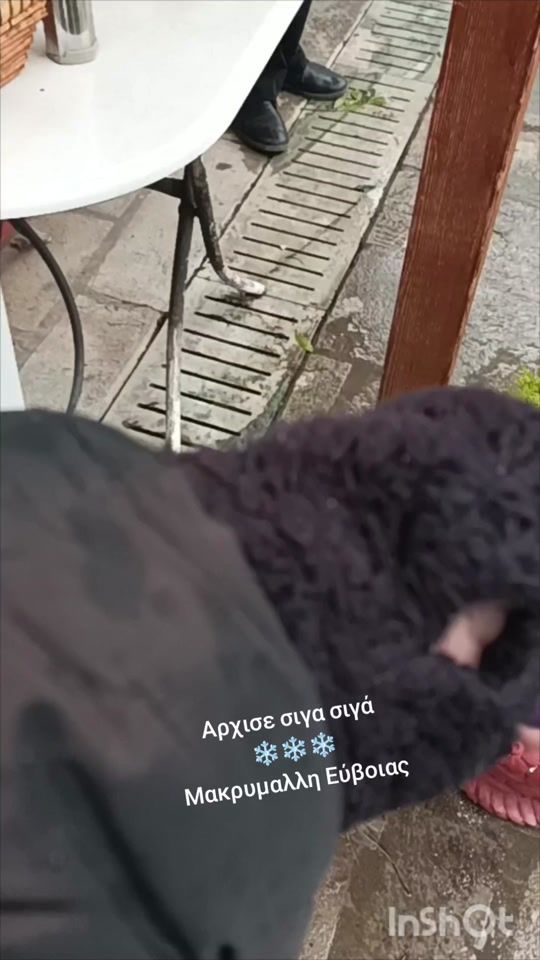 TikTok video thumbnail by vikymauroeidi1